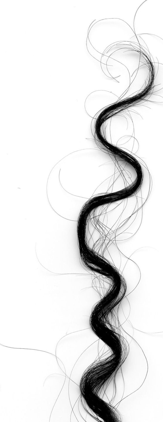 Fio de Cabelo - Cronograma capilar